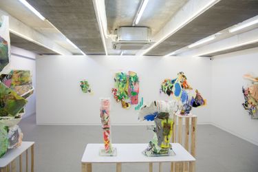 Exhibition view: Lee Dong-geun, Mutant, another surface, Space Willing N Dealing (3–19 August 2022). Courtesy Space Willing N Dealing.