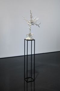 Tree by Caroline Rothwell contemporary artwork sculpture