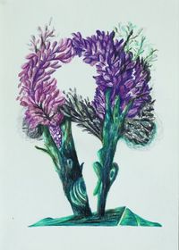 Auffällige Bedeckt- und Nacktsamer 41 by Hartmut Neumann contemporary artwork works on paper, drawing