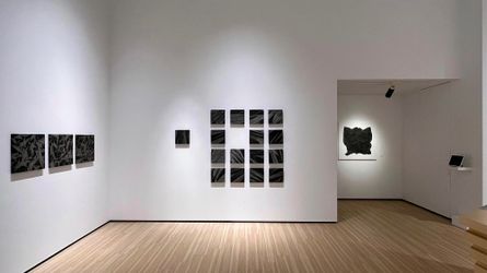 Exhibition view: Shiho FUJIWARA, Suiboku, Whitestone Gallery, Taipei (9 July–20 August 2022). Courtesy Whitestone Gallery.