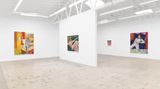 Contemporary art exhibition, Janet Werner, Call Me When You Start Wearing Red at Anat Ebgi, Mid Wilshire, United States