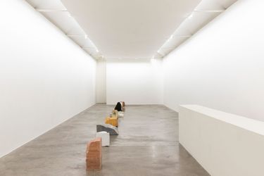 Exhibition view: Dorothy Cross, Veins of Other, Kerlin Gallery, Dublin (24 May–6 July 2024). Courtesy Kerlin Gallery.
