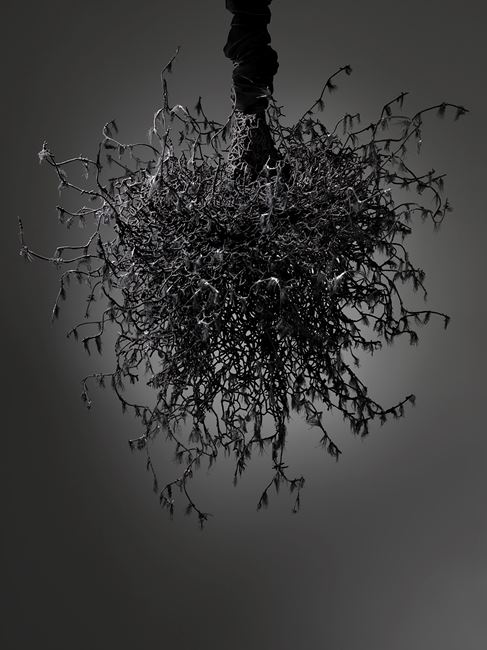 Untitled #1459 (Yōko Ogawa: The Memory Police) by Petah Coyne contemporary artwork