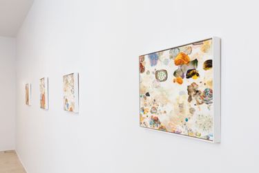 Exhibition View: Mark Rodda, More Nebula Paintings, Gallery 9, Sydney (8 May–1 June 2024). Courtesy Gallery 9.