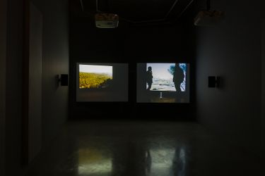 Lawrence Abu Hamdan  Once Removed, HD video, colour, sound, 30 minutes, 2019installation view, Maureen Paley, London, 2020