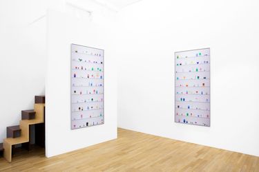 Markus Hanakam & Roswitha Schuller, Hot and Steamy, Galerie Krinzinger, Seilerstätte 16, Vienna (31 March–20 May 2022). Courtesy Galerie Krinzinger.