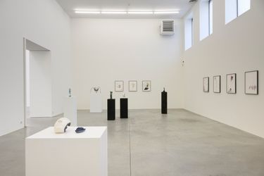 Exhibition view: Grace Schwindt, Lacuna, Zeno X Gallery, Antwerp (19 April–24 June 2023). Courtesy Zeno X Gallery.