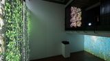 Contemporary art exhibition, Jennifer Steinkamp, Souls at Lehmann Maupin, Seoul, South Korea