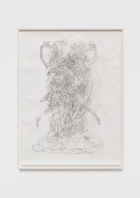 Drawing after 'Apollo and Daphne' by Bernini photographed from different angles by Ciprian Mureşan contemporary artwork painting, works on paper, drawing
