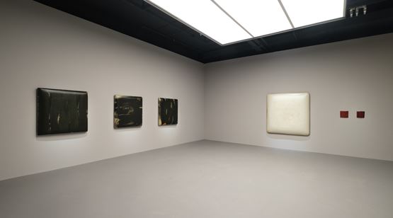 7 Dec 2019–22 Jan 2020 Su Xiaobai contemporary art exhibition