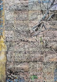 Critical Forests 7 by Imants Tillers contemporary artwork painting
