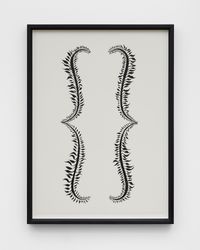 Botanical Parentheses by Donald Urquhart contemporary artwork painting, works on paper, drawing