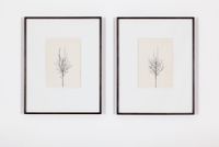Pair of Winter Drawings 16vs17 and 16vs20, 26 December 2015 by Peter Liversidge contemporary artwork painting, works on paper
