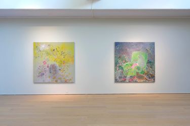 Exhibition view: Shen Ling, Void Flowers, Yearly Portrait, Tang Contemporary Art, Beijing 2nd Space, Beijing (5 November–8 December 2022). Courtesy Tang Contemporary Art.