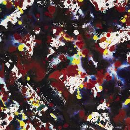 Sam Francis