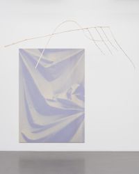 Folds and Branch by Ulla Von Brandenburg contemporary artwork mixed media