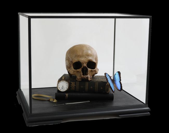 Memento Mori with Heilige Schrift and Morpho Peleides by The Connor Brothers contemporary artwork