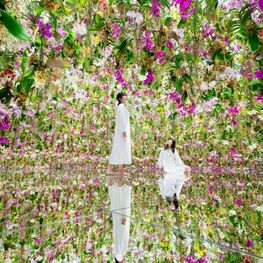 teamLab Planets TOKYO Is a Phenomenon. But What Is It?