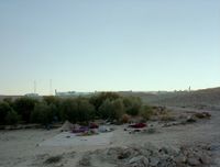 Daybreak (on an olive farm/Negev Desert/Israel) by Jeff Wall contemporary artwork photography, print