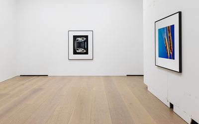 Exhibition view: Chistopher Williams, Open Letter: The Family Drama Refunctioned? (From the Point of View of Production), David Zwirner, London (17 March–20 May 2017). Courtesy David Zwirner, London.
