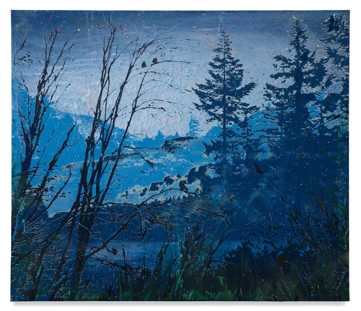 Glen, 2022 by Elizabeth Magill | Ocula