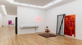 Contemporary art exhibition, Hadi Fallahpisheh, BLOW-UPS at Andrew Kreps Gallery, 22 Cortlandt Alley, United States