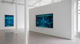 Contemporary art exhibition, Thomas Struth, Thomas Struth at Galerie Greta Meert, Brussels, Belgium
