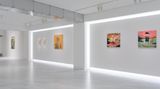 Contemporary art exhibition, Group Exhibition, Neo-Animism: 11 Artists of Southeast Asia at √K Contemporary, Tokyo, Japan