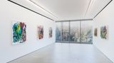 Contemporary art exhibition, Aaron Garber-Maikovska, Cushion of Air at Blum & Poe, Tokyo, Japan