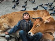 Steve McCurry's photos show the complex relationship between humans and animals