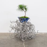 Pinus Radiata 3 by Fritsch & Nightingale contemporary artwork sculpture