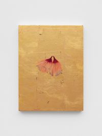 Hibiscus Syriacus 8 by Ria Verhaeghe contemporary artwork painting, works on paper, sculpture, photography, print