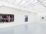 Contemporary art exhibition, Louisa Gagliardi, Side Effects of Satisfaction at rodolphe janssen, Brussels, Belgium