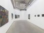 Contemporary art exhibition, Behrang Karimi, Dinge Weltweit at Maureen Paley, London, United Kingdom