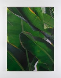 Banana VI by Marcel Vidal contemporary artwork painting