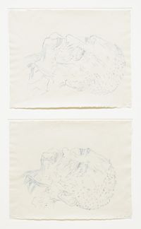 Double Head (No. 3) A+B by Kiki Smith contemporary artwork works on paper, drawing
