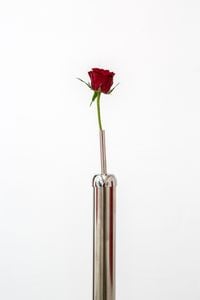 Timeless Symbols (Rose) by Andrew J. Greene contemporary artwork sculpture