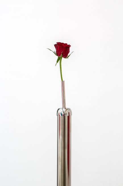Timeless Symbols (Rose) by Andrew J. Greene contemporary artwork