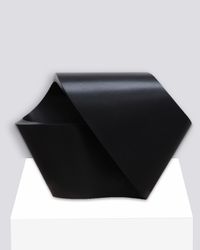 Curvatura 13.1 by Gianpietro Carlesso contemporary artwork sculpture