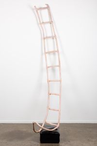 Ladder by Caroline Rothwell contemporary artwork sculpture