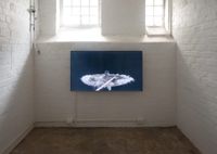 The Song Remains the Same by Steve Carr contemporary artwork moving image