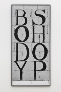 The Body Shop by Shannon Ebner contemporary artwork photography