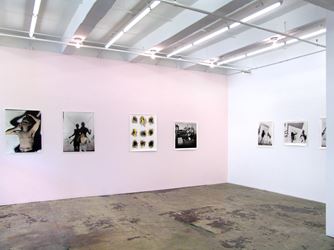 Exhibition view: Elaine Stocki, The Palms, Thomas Erben Gallery, New York (29 May–28 June 2014). Courtesy Thomas Erben Gallery. 