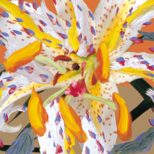 Golden-Rayed Lily by Koeda Shigeaki contemporary artwork
