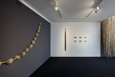 Exhibition view: Thao Nguyen Phan, Ode to the Margins, Galerie Zink Waldkirchen (23 September–12 November 2023). Courtesy Galerie Zink.
