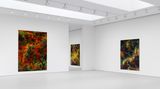 Contemporary art exhibition, Thomas Ruff, d.o.pe at David Zwirner, 19th Street, New York, USA