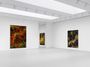 Contemporary art exhibition, Thomas Ruff, d.o.pe at David Zwirner, New York: 19th Street, United States