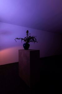 Songs: vase by Pedro Gómez-Egaña contemporary artwork sculpture