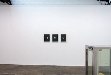 Alicia FrankovichSpaces of Life, 2024 (installation view) Courtesy of the artist and 1301SW, Melbourne 