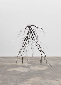 Manfrotto's Dream, Stump and Subterranean Roots by Josh Callaghan contemporary artwork works on paper, sculpture